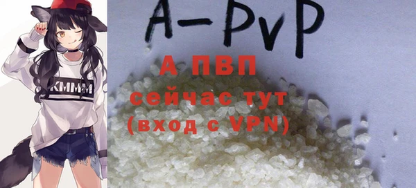 молекула духа Богородск