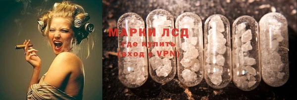 ПСИЛОЦИБИНОВЫЕ ГРИБЫ Беломорск