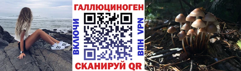 Галлюциногенные грибы прущие грибы площадка как зайти Бугульма