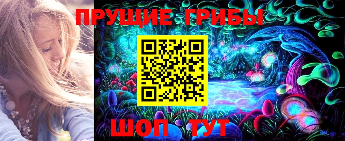 Галлюциногенные грибы Cubensis Бугульма